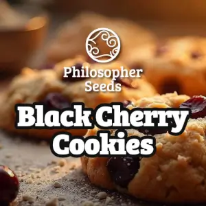 Black Cherry Cookies
