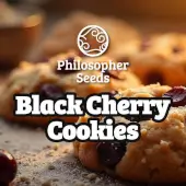 Black Cherry Cookies