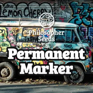 Permanent Marker