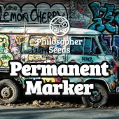 Permanent Marker