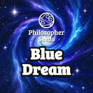 Blue Dream Philosopher Seeds