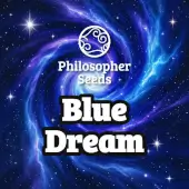 Blue Dream Philosopher Seeds