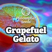 Grapefuel Gelato