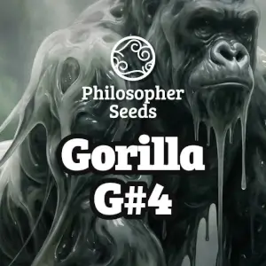 Gorilla Glue