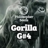 Gorilla Glue