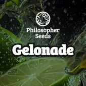 Gelonade