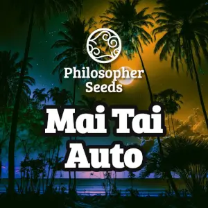 Mai Tai Auto