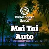 Mai Tai Auto