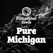 Pure Michigan
