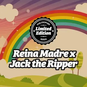 Reina Madre x Jack the Ripper