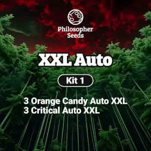XXL Auto Kit