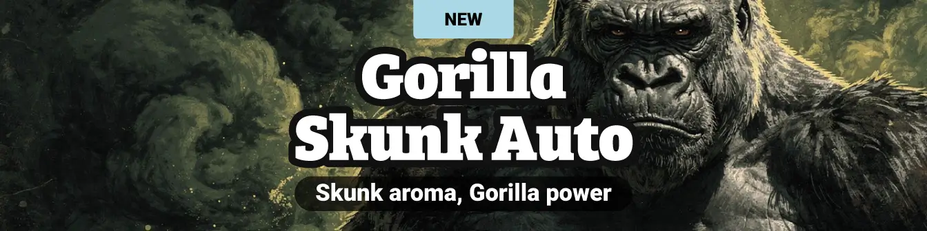 Gorilla Skunk Auto